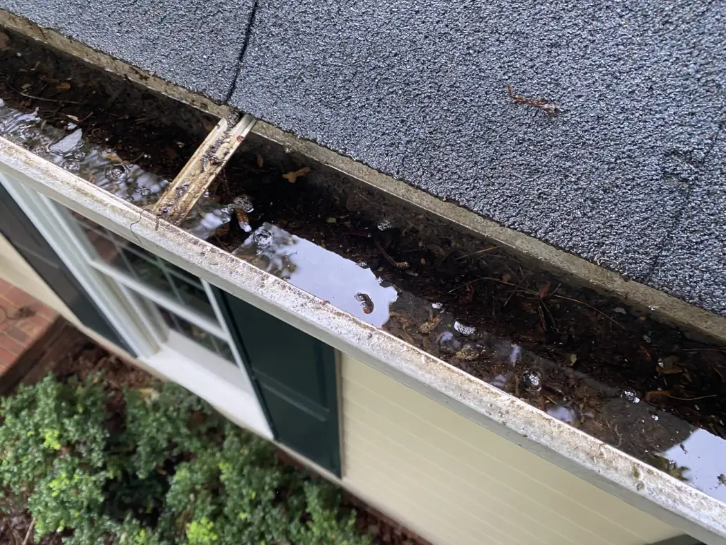 Clogged gutter filled with pine needles and debris — Hickory Gutter Pros